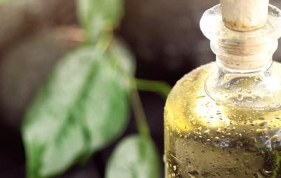 Масло от чаено дърво (Melaleuca alternifolia) Масло от чаено дърво (Melaleuca alternifolia)